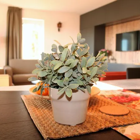 Uplandparcs Apartment *